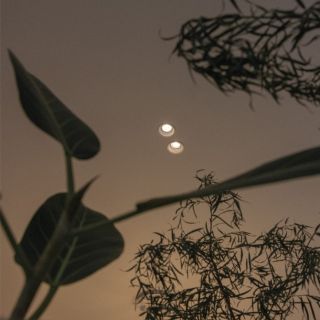 Axolight / Spot Lighting / Adjustable Downlight / Amy