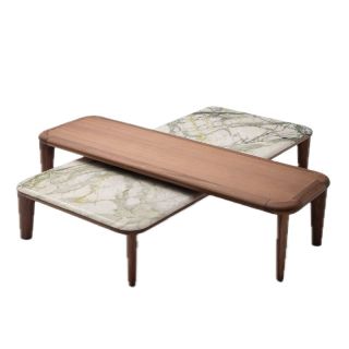 Ulivi Salotti / Coffee Tables / Edison Rect