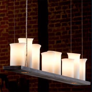 Robers / 8-lighter Suspension Lamp / HL 2509