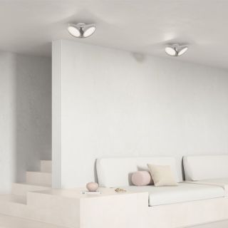 Axolight / Triple Ceiling / Orchid
