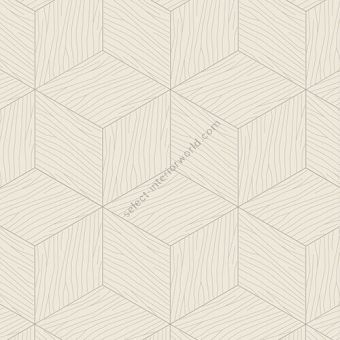 Bisazza / Wood - Decorations / New Escalier Sugar