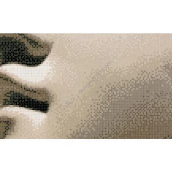 Bisazza / Mosaico - Decorations / Paride Wall (Timeless)