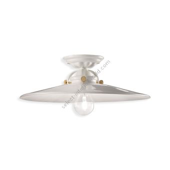 Ferroluce / Semi-Flush Mounts / C105