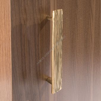 Objet Insolite / Pull / Poignée de tirage Fossile