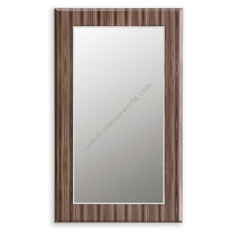 Reflex / Mirrors / Elisa Specchio