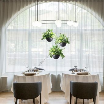 Estiluz / Pendants & Suspension Lights / Circ Flower Pot