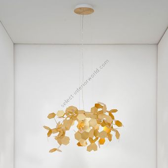 Zava Andromeda / Brass Designer Pendant Light
