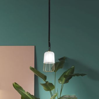 Zava / Medù / Suspension Lamp