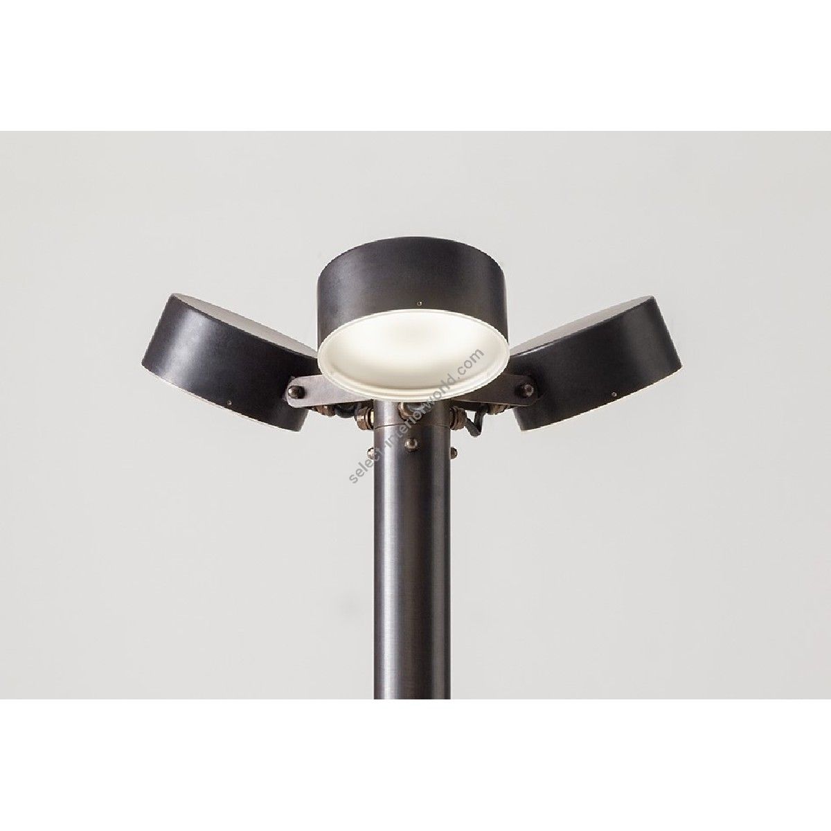 Aldo Bernardi / Pole-head / Acelum