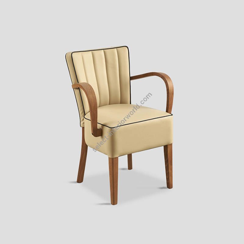 Dialma Brown / Chair with arms / DB005712, DB004100
