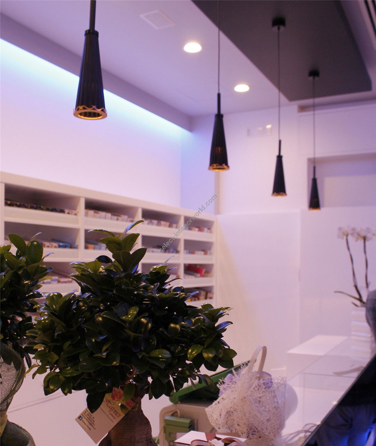 Euroluce Lampadari / Pendants & Suspension Lights / Julienne Black&Gold S1