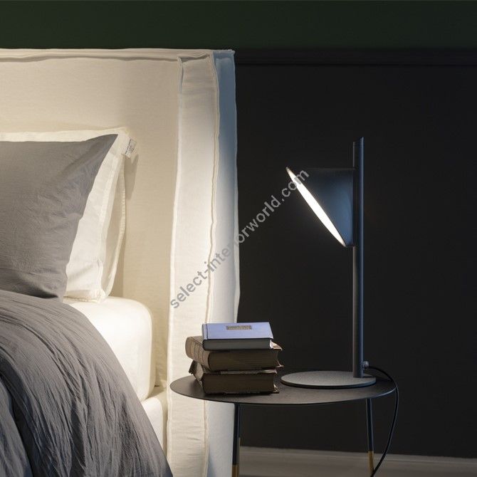 Axolight / LED Table Lamps / Orchid