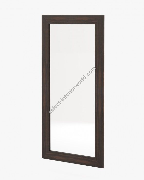 Laskasas / Wall Mirrors / Texas