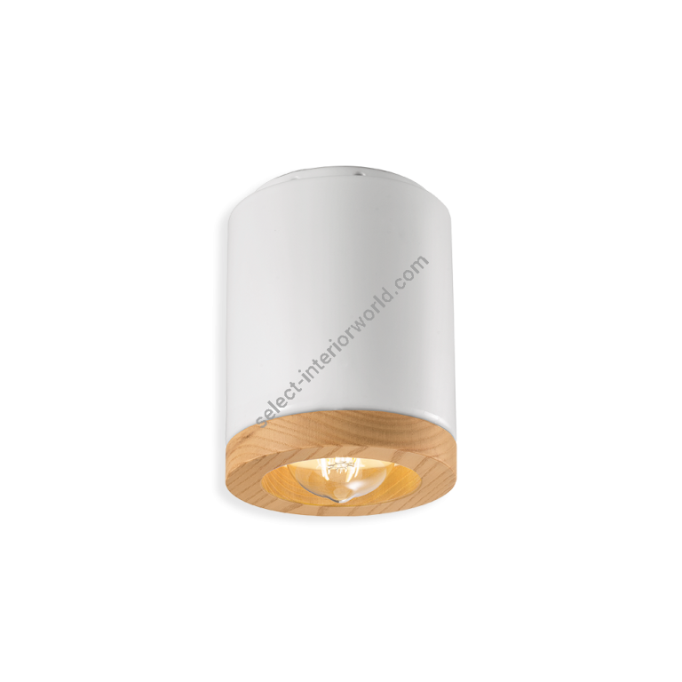 Ferroluce / Flush Mounts / C989