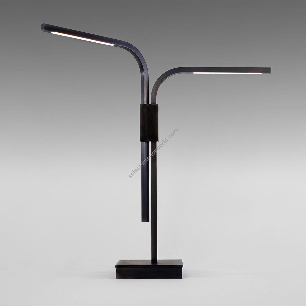 Boyd Lighting / Table Lamps / Branch LED 10721