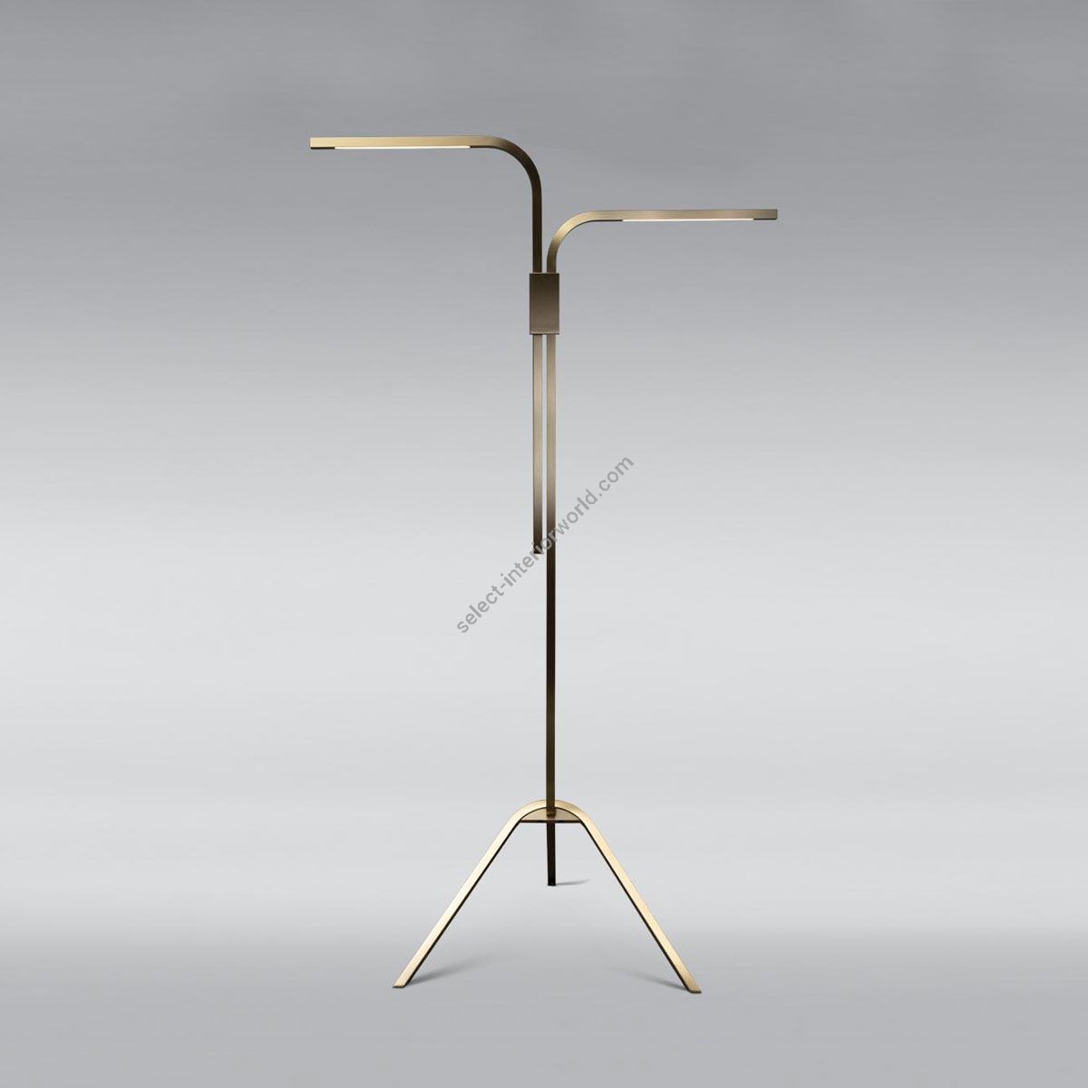 Boyd Lighting / Floor Lamps / Branch LED 10722