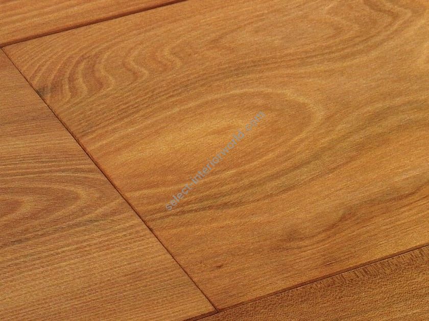 Bassano Parquet / Elm parquet / The Naturals European Elm