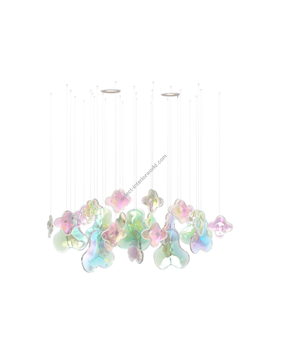 Sans Souci / Chandeliers / Iris S