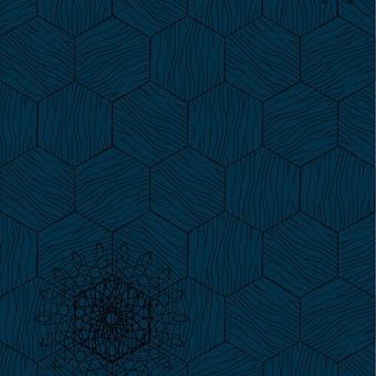 Bisazza / Wood - Decorations / Pirouette Denim