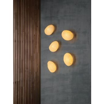 Carpyen / Wall & Ceiling / Códol