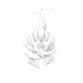 Sans Souci / Chandeliers / Flux Celestial M1