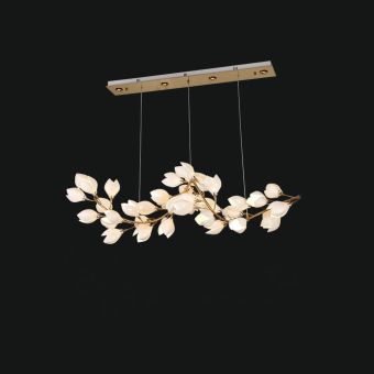 Jago / Chandeliers / Tulipani NCS 527