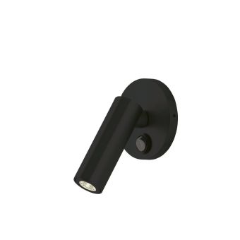 Carpyen / Wall & Ceiling / Jerry