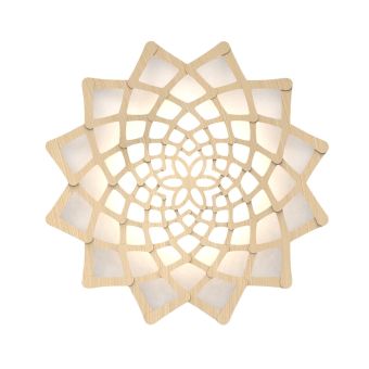 David Trubridge / Wall Lights / Sunflower