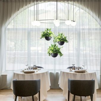 Estiluz / Pendants & Suspension Lights / Circ Flower Pot