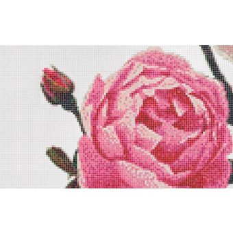 Bisazza / Mosaico - Decorations / Malmaison Rosa (Flora)