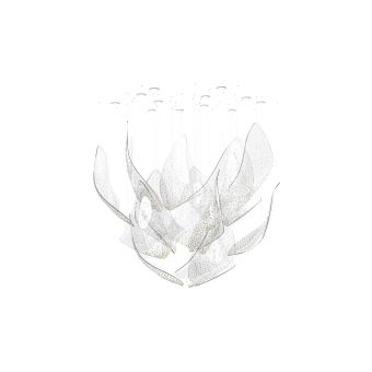 Sans Souci / Chandeliers / Flux Celestial S1