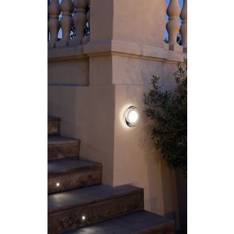 Carpyen / Wall & Ceiling / Venus