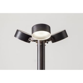 Aldo Bernardi / Pole-head / Acelum