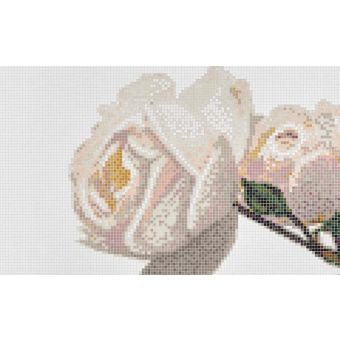 Bisazza / Mosaico - Decorations / Malmaison Avorio (Flora)