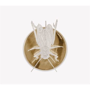 Boca do Lobo / Wall Lights / Filigree Cricket