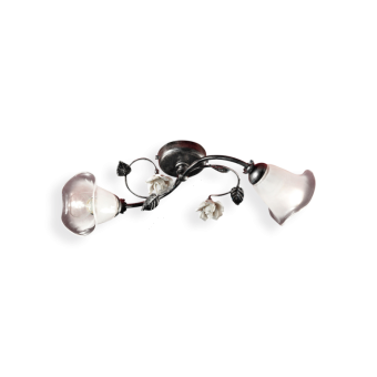 Ferroluce / Flush Mounts / C1184-2