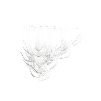 Sans Souci / Chandeliers / Flux Celestial XL1