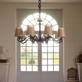 Objet Insolite / Bronze Chandeliers / Lustre Amboise