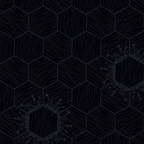 Bisazza / Wood - Decorations / Floral Notte