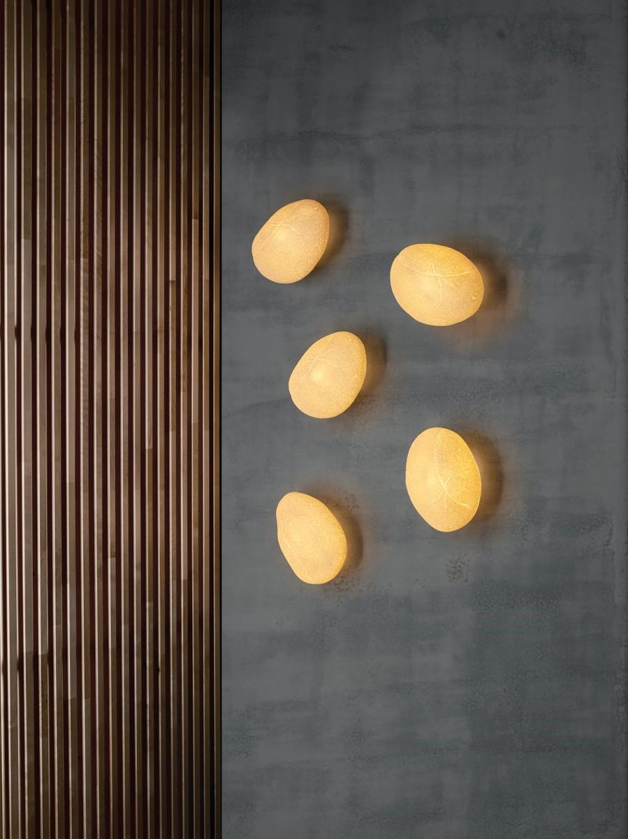 Carpyen / Wall & Ceiling / Códol