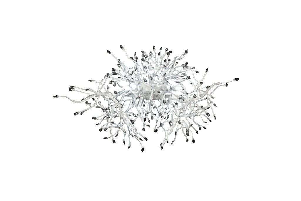 Mechini / Chandeliers / Clear and Coloured Bohemian Crystal L-Spidery/12 white