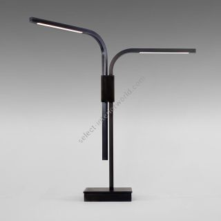 Boyd Lighting / Table Lamps / Branch LED 10721