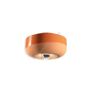 Ferroluce / Flush Mounts / C2542
