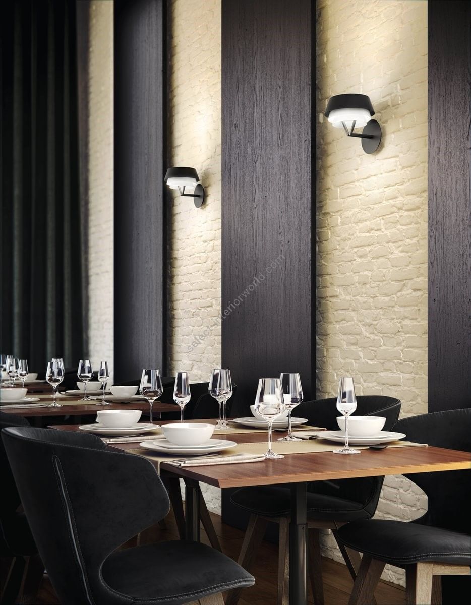 Carpyen / Wall & Ceiling / Gala