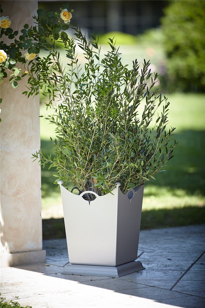 Officina Ciani / Outdoor Flower Boxes / Stainless Steel GF4016VA Maniglie