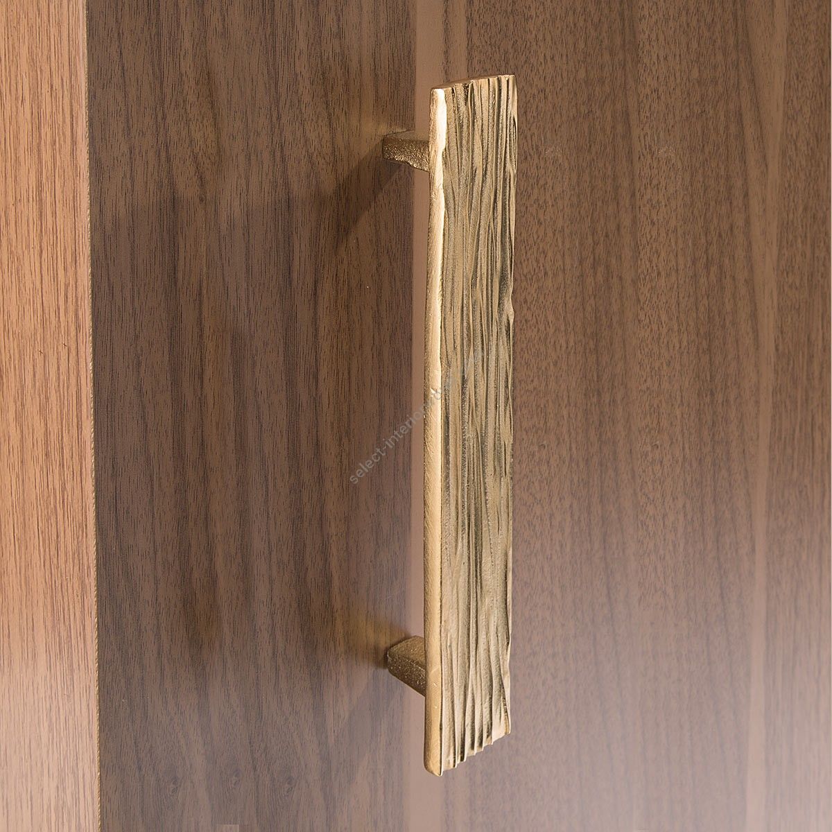 Objet Insolite / Pull / Poignée de tirage Fossile