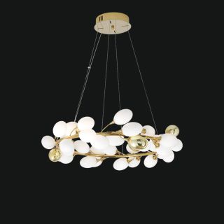 Jago / Chandeliers / Boccioli NCS 523/80