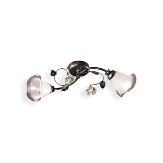 Ferroluce / Flush Mounts / C1184-2