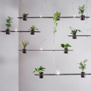 Siru / Chandeliers / HS683-055