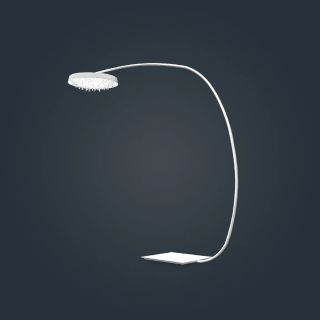 Manooi / Crystal floor lamp / Personal universe Tondo F